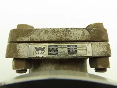 William E. Williams Valve S151F6316 Swing Check Valve 2" ANSI Flange Class 150