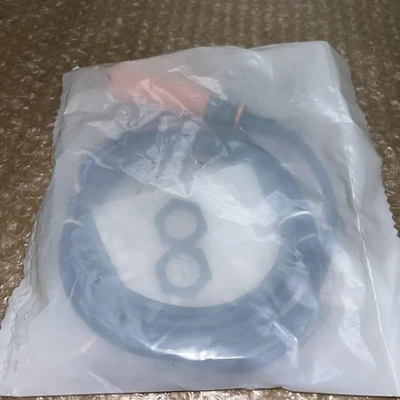NEW Efector IG5399