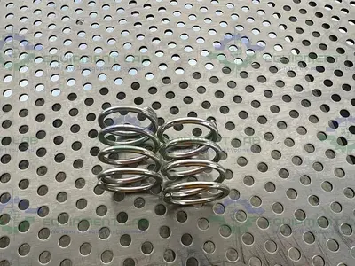NEW LOT OF 2 - WATERS QUALITY PARTS 01141 SPRING, PISTON P-200, P350