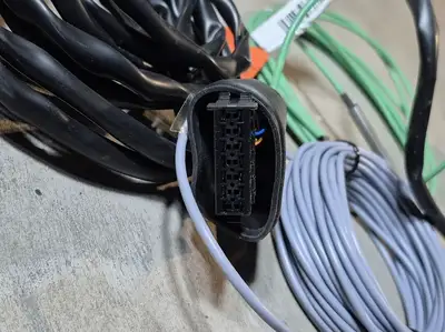NEW DCL INTERNATIONAL INC X0800-0036-00