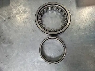 Cylindrical Roller Bearing NU219WC3