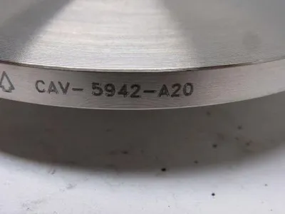 Check-All CAV-5942-A20 Flange Insert Check Valve 3" SS