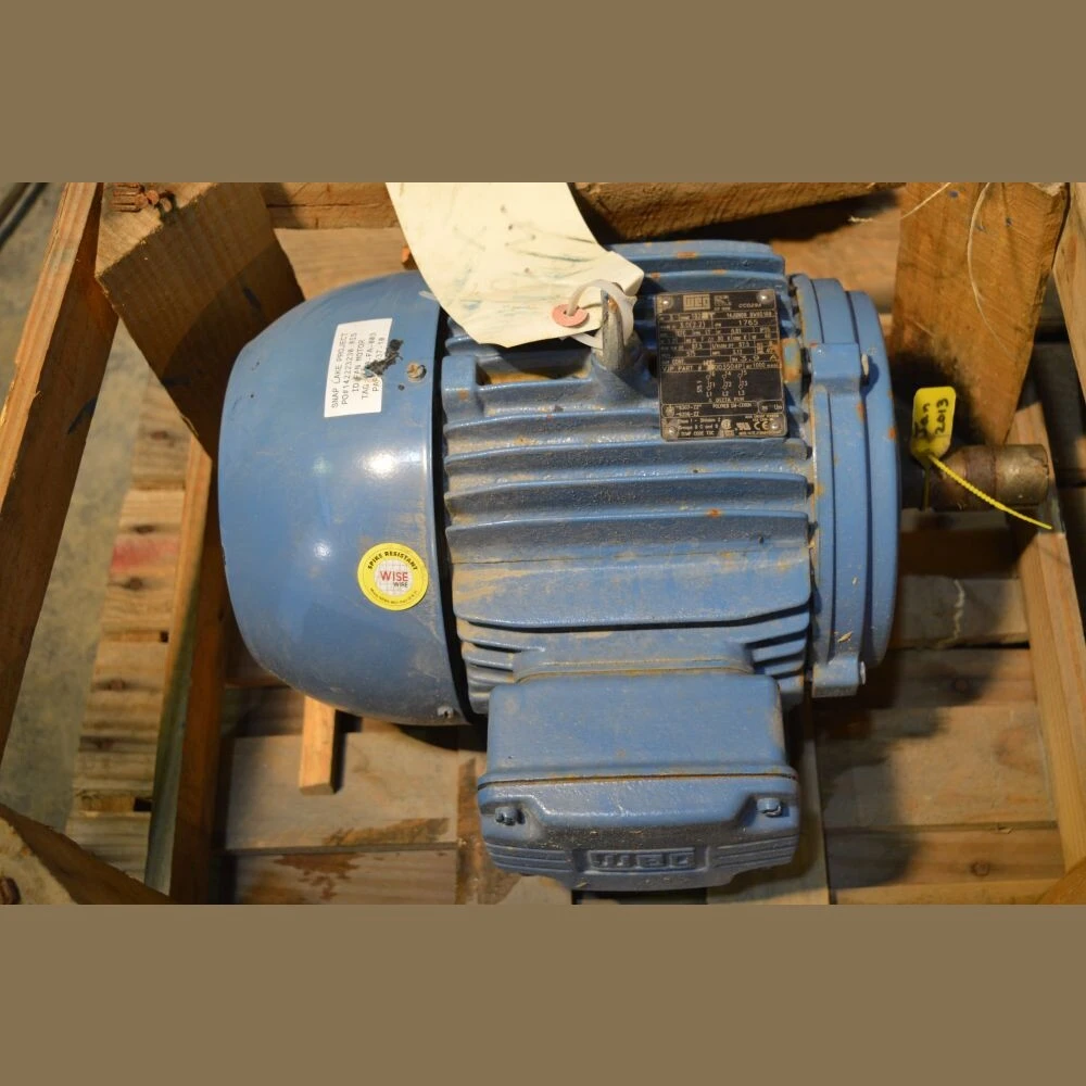 Weg 3 HP Motor
