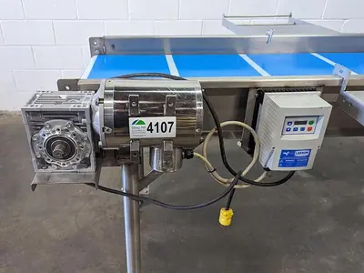 Custom 10' Conveyor with Removable Packaging Tables