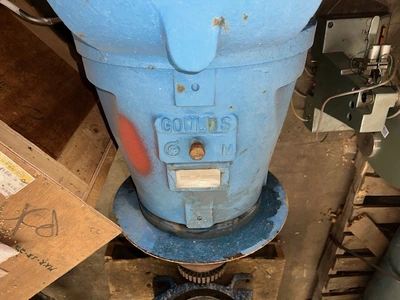 USED Goulds 3175