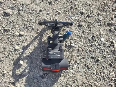 1" Class 800 Gate Valve API 602