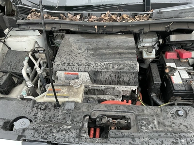 Used 2019 NISSAN LEAF SUVs Michigan US | Miedema Asset Management Group #1461479