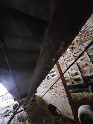 NEW IDEA 177 Conveyors | Iron Listing (12)