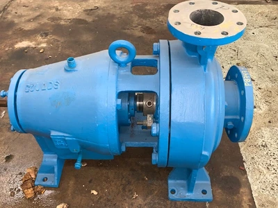 USED Goulds 3175
