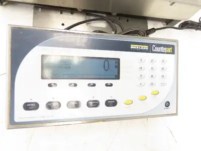 Rice Lake BM1218-100 Bench Weigh Scale & Display Counting Indicator 12 X 18"