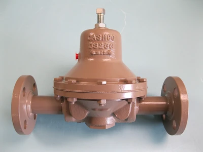 NEW Cashco 2B6-5S37-X2X55194C