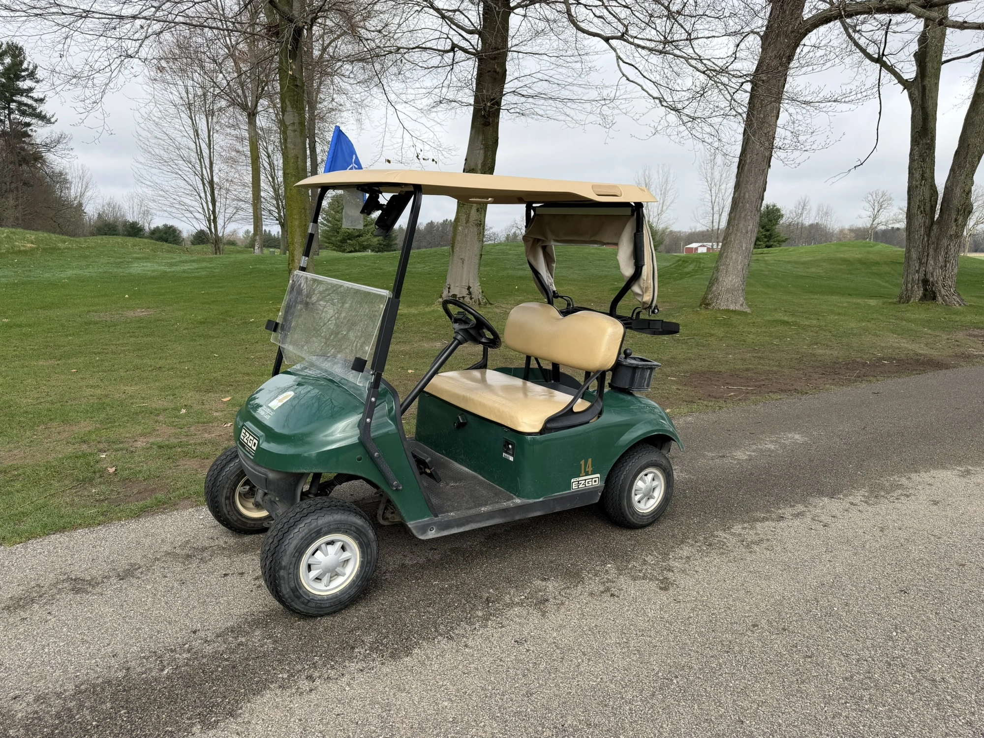 (1) 2015 E-Z-Go golf cart with a Kawasaki gas engine, includes Club canopy and ball washer, fold-dow...