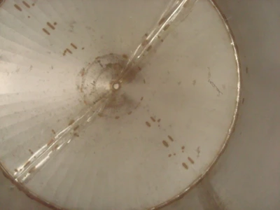 2500 L S/S Zero Pressure Jktd Enc Tank