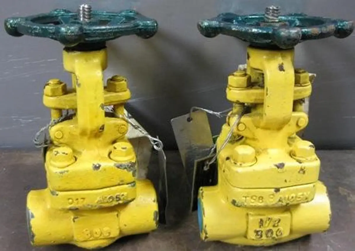 QTY. 2. XANIK &frac12;" 800 SOCKET WELD A105 GATE ...