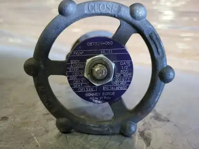1/2" Class 800 Gate Valve B16.34
