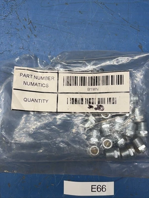 NEW Numatics B1MN