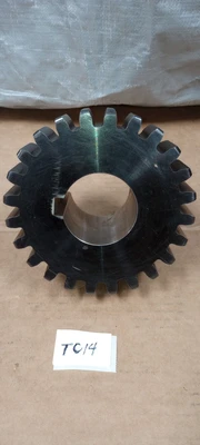 NEW Martin External Tooth Spur Gear