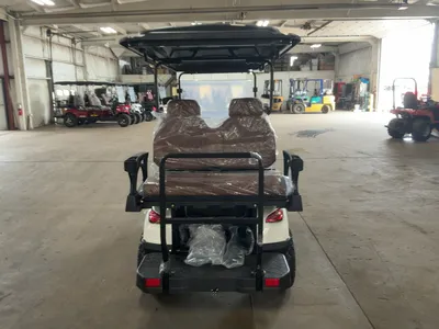 Used 2026 SDLANCH HQ80 Golf Carts Michigan US | Miedema Asset Management Group #1334667
