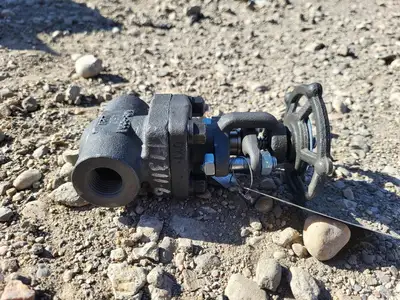 1/2" Class 800 Gate Valve API 602