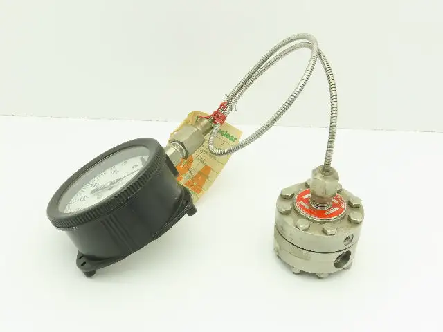 Ametek/M&G Div Type SK 316L SS Diaphragm w/USG Solfrunt 3500PSI Gauge Stock Bore