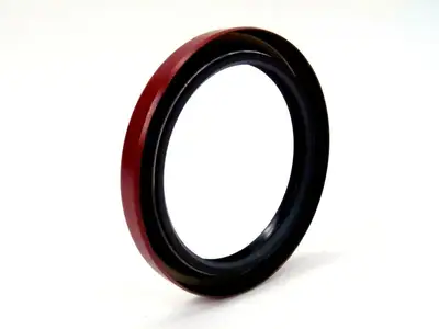 2796A250DIAA001 | Flowserve  Lip Seal Nitrile 18459653 - New