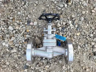 2019 1" Class 600 Globe Valve API 602