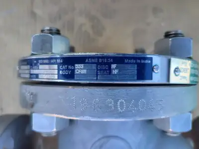 2" Class 300 Globe Valve API 594