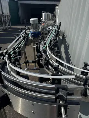 Alliance Infeed/ Dump conveyor