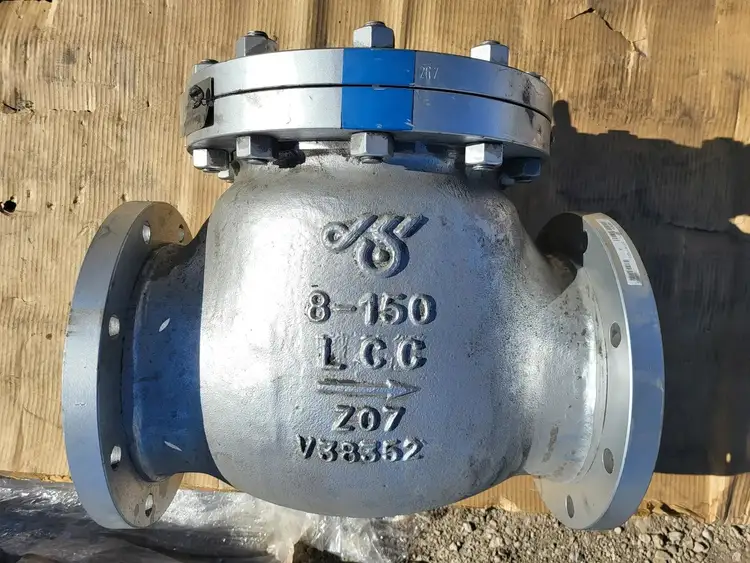 Used DSI VALVES API 594 Valves/Fittings British Columbia CA | Lenmark #256768