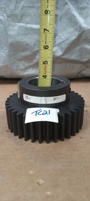 NEW Martin MARTIN WORM  GEAR  36 TEETH