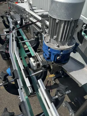 Alliance Infeed/ Dump conveyor