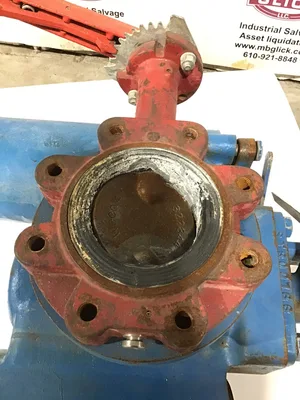 Hayward ST 100834 Industrial Strainer