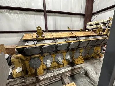 NEW CAT 3616