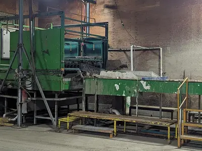 Pumpkin Squash Inspection & Cleaning Line