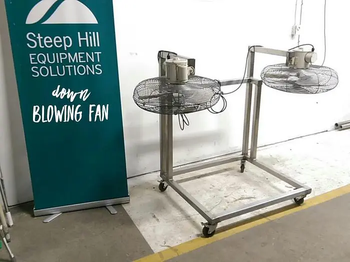 Double Down Fan