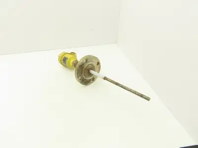 VEGA CAP 62.UXAHARANX-12 Capacitive Rod Indicator Probe Sensor 2" Flange