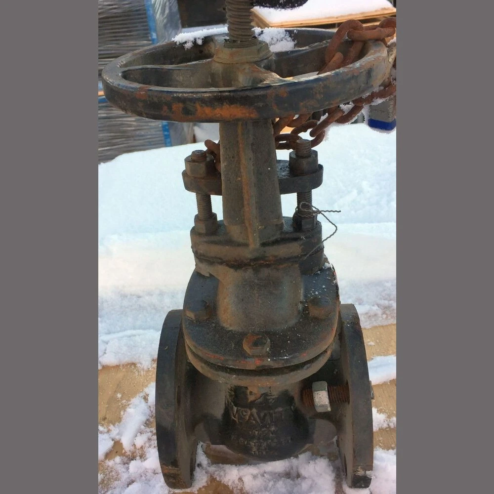 McAvity 2.5 Inch Gate Valve