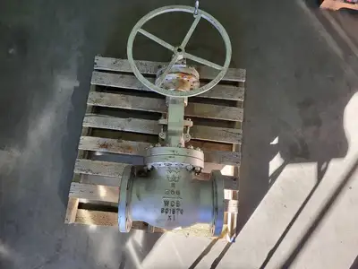 8" Class 300 Globe Valve API 623