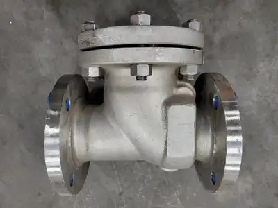 3", Class 150, Check Valve, B16.34