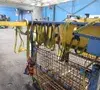 Used YALE CEW10X20RT14D4 Material Handling (misc) Ohio US | HGR 24 #1289778