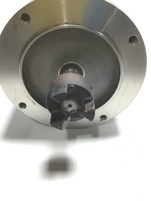 Leeson CZ6T17VC30A Washguard Stainless Steel Duck Electric Motor 3 Phase