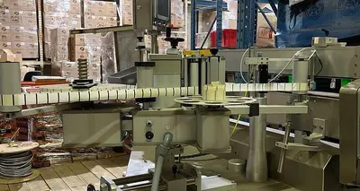 USED 2019 CAPMATIC LABELSTAR SYSTEM 2/1 T-100