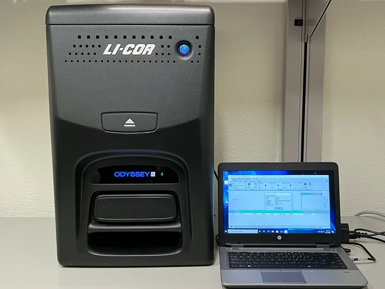 Used LI-COR Biosciences Odyssey Fc Imaging Systems / Molecular Imagers Missouri US | BioLabTek #805214