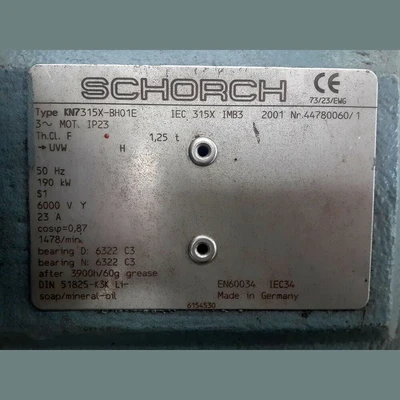 Schorch 255 HP Electric Motor