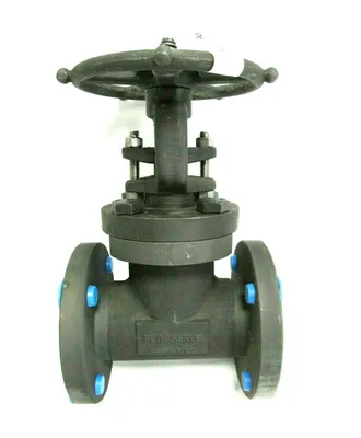 NEW FLOWSERVE API602 GATE VALVE 2" SERIES 353 63204-9R00 ASME B16.34