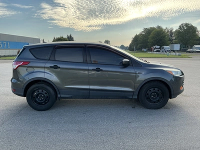 Used 2016 FORD ESCAPE SUVs Michigan US | Miedema Asset Management Group #1406841