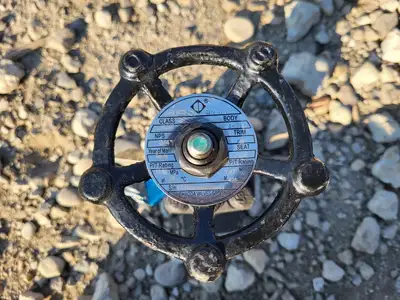 3/4" Class 800 Gate Valve API 602