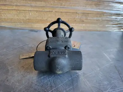 3/4" Class 800 Gate Valve B16.34