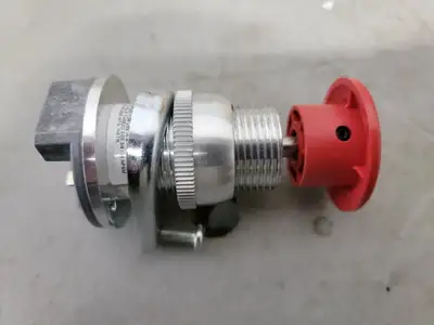 Mushroom Head Push Button 800H-DP6