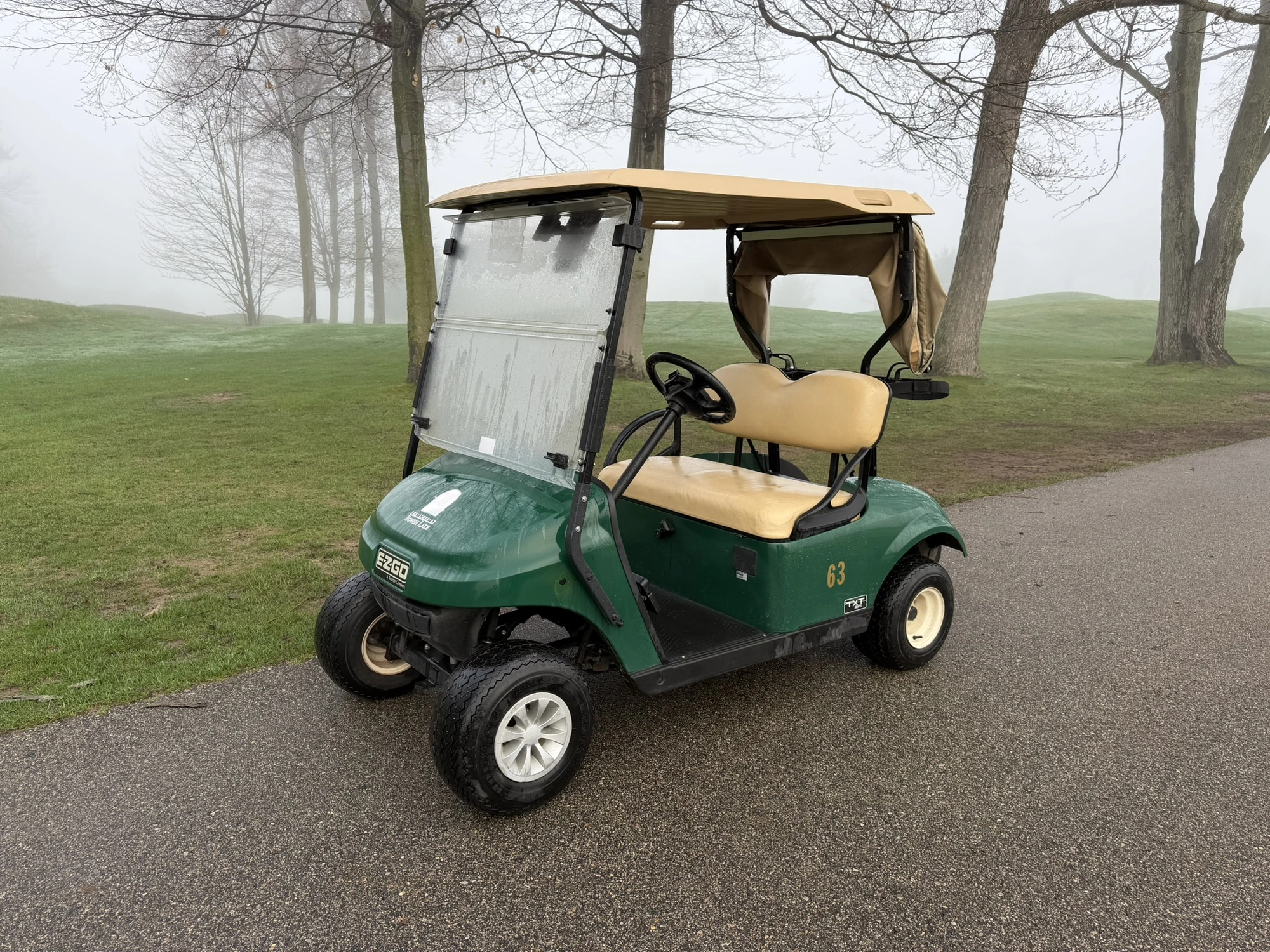 (1) 2019 E-Z-Go EFI golf cart with a Kawasaki gas engine, model 657061G01, includes canopy, fold-dow...